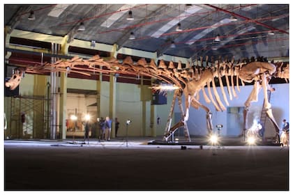 Una réplica del Patagotitán mayorum fue llevada en dos aviones a Londres.