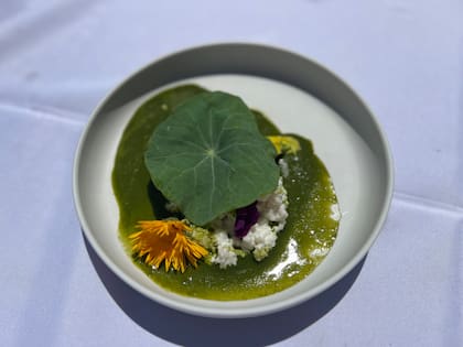 Una ricota de cabra con una salsa verde de berros salvajes que crecen en un arroyo fue uno de los platos