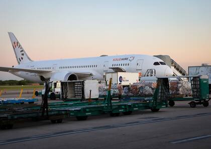 Una segunda misión humanitaria de Cascos Blancos arribó el jueves a Egipto junto con más de 6 toneladas de alimentos, insumos médicos y pañales