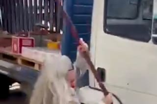 Una mujer se enojó porque le tapaban la puerta del local y le pegó con un fierro a un camión