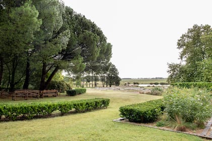 Una serie de cercos curvos de Ligustrum texanum envuelven el sector del fogón y definen los canteros con plantación naturalista. También remiten a los montes oscuros que se ven en el horizonte. A lo lejos se llega a ver el lago.