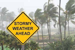 Se vienen vientos dañinos y amenazas de granizo: el mapa con las alertas vigentes en EE.UU.