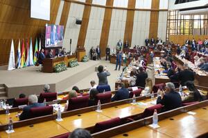 El Gobierno suspendió el pago de viáticos para los legisladores del Parlasur