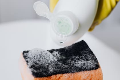 Una sola esponja puede contener más bacterias que la población total del planeta, señaló el médico, alarmando a sus seguidores en redes (Archivo)