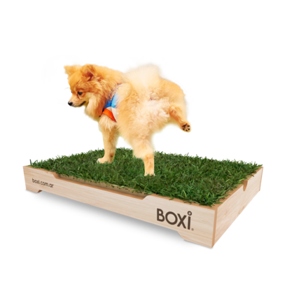 Una solución súper práctica para las mascotas que viven en departamento.