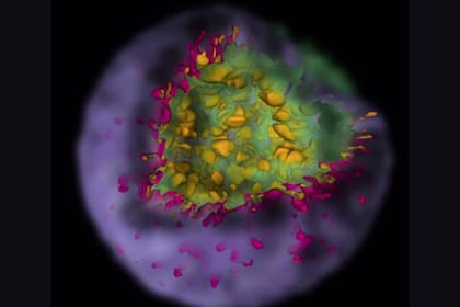 Una supernova crea una nube de escombros que lleva una huella de la explosión