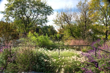 Una terraza verde funciona como nexo entre lo construido y el paisaje