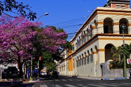 Los argentinos que dieron el paso o que lo están considerando tuvieron éxito en negocios tan variados como el inmobiliario y el gastronómico, o abrieron una sede de su compañía