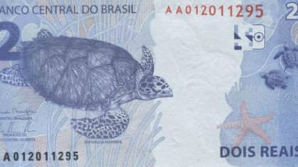 Una tortuga marina en el billete de dos reales