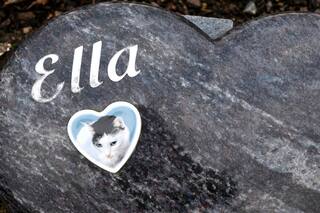 Mi mascota y yo, hasta que la muerte nos separe