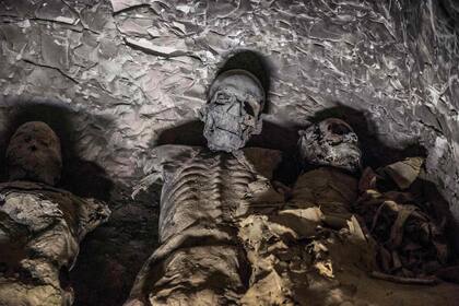 Un grupo de momias apiladas también fue halldo en la necrópolis de Al-Assasif 