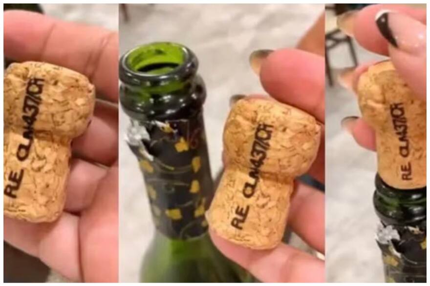 Cómo se hace el corcho de las botellas de vino