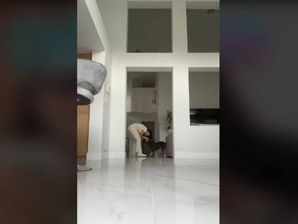 Una usuaria de TokTok muestra su rutina de cuidaperros