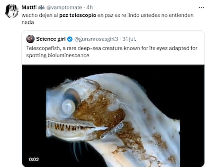 Una usuaria optó por utilizar la ironía en su comentario (Foto: X @vamptomate)