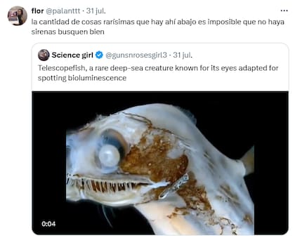 Una usuarua de X pidió que "busquen sirenas" en el fondo del mar (Foto: X @palanttt)
