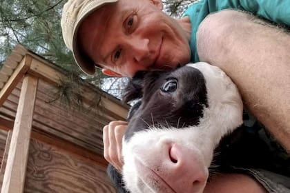 Una vaca se acerca a la ventana de su dueño para pedirle un abrazo