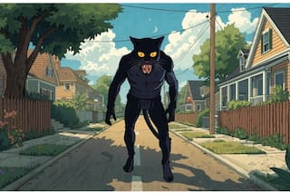 El verano del Hombre Gato