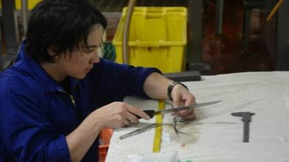 Una vez abandonado el barco, toca hacer trabajo de escritorio para clasificar las nuevas especies