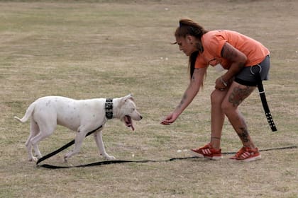 Una vez que pudo comunicarse, Faraón mejoró su carácter y comenzó a relacionarse con perros y humanos sin problemas