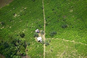 Los cultivos de coca en Colombia, un récord preocupante