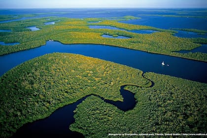 Una vista aérea de los Everglades de Florida
