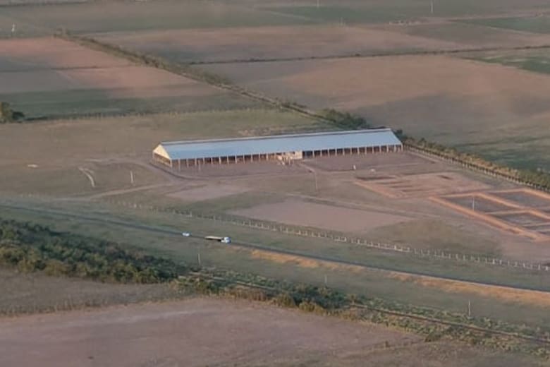 Milkynet: el tambo robotizado que desafió al escepticismo y factura US$5 millones al año