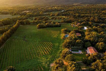Una vista aérea del complejo turístico, en la región sur de la isla de Córcega, en la que se aprecian los viñedos, las cabañas y la pileta.