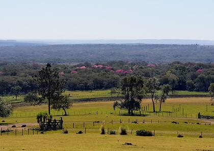 Una vista de la estancia donde se hace la producción ovina