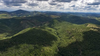 Una vista de la hacienda reforestada en Minas Gerais