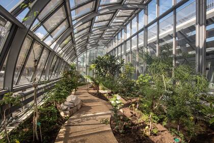 Una vista de los invernaderos que rodean el nuevo estadio de Roland Garros