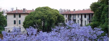 Una vista del barrio Los Andes, en el corazón de Chacarita