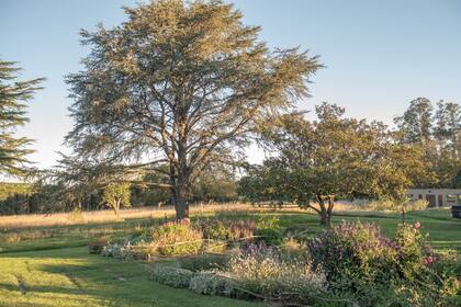 Una vista más abierta del lugar donde conviven canteros más trabajados, árboles añosos y el campo