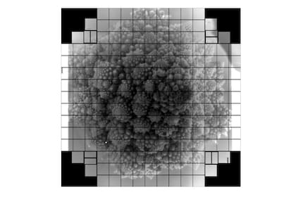 Una vista reducida de la fotografía del brócoli, un retrato que demandaría el uso de 378 televisores 4K para ver la imagen completa de 3200 megapixeles de resolución