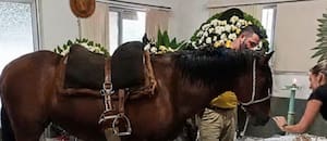Una yegua asistió al funeral de su dueño en Brasil y su reacción frente al ataúd se volvió viral