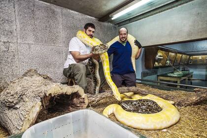 Unas 22.000 dosis de siete antivenenos salen por año del laboratorio del Instituto
