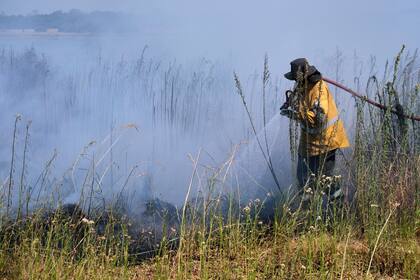 Unas 6000 hectáreas fueron afectadas por los incendios de bosques implantados en la provincia de Corrientes. Imágenes del departamento de San Cosme. TELAM
20/01/2022 08:37