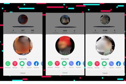 Unas capturas de Tiktok con el contenido pornográfico en los avatares o con publicaciones que buscan viralizarse
