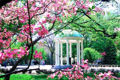 UNC Chapel Hill.