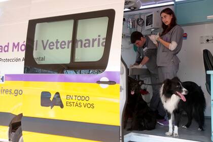 La Ciudad reemplazó los centros veterinarios fijos aprobados por ley por unidades móviles, pero resultan insuficientes para una demanda que crece