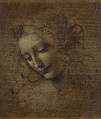 Uno de los 22 dibujos de Leonardo