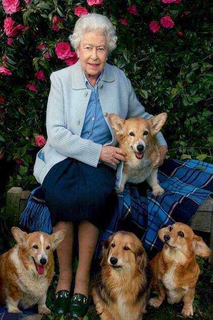 Uno de los amados perros de la reina Isabel II falleció en las últimas horas. La monarca llegó a tener 30 perros corgi, todos descendientes de una mascota que le regalaron a los 18 años