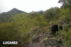 El extraño animal cuyas huellas aparecieron en el norte y que mantiene en vilo a los científicos