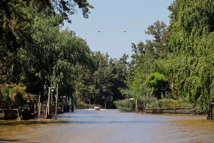 Uno de los arroyos del Delta, en la primera sección, que pertenece a la municipalidad de Tigre