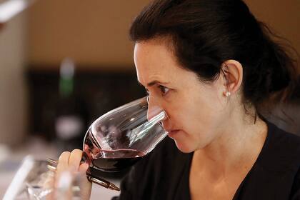 Uno de los aspectos claves fue que para la investigación se elaboraron vinos con la menor influencia posible de la mano del hombre