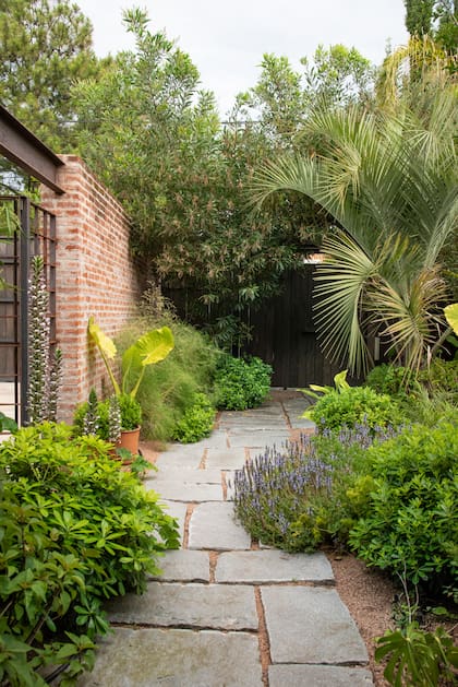 Uno de los caminos, de piedra gris de un cantero de la zona. La plantación delimita el camino y lo invade.