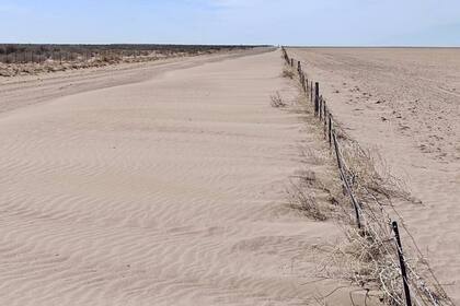 Uno de los campos del sur bonaerense que hoy es prácticamente un desierto
