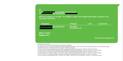 Uno de los chats de Novelli, correspondientes a los días 29 y 30 de enero de 2025