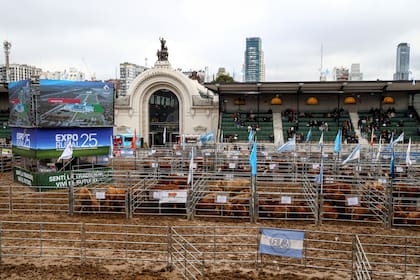 Uno de los concursos ganaderos en la pista central
