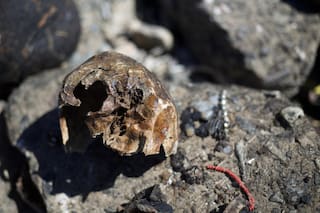 Hallaron en la costa de Quilmes 17 cráneos humanos que habrían sido usados en un ritual