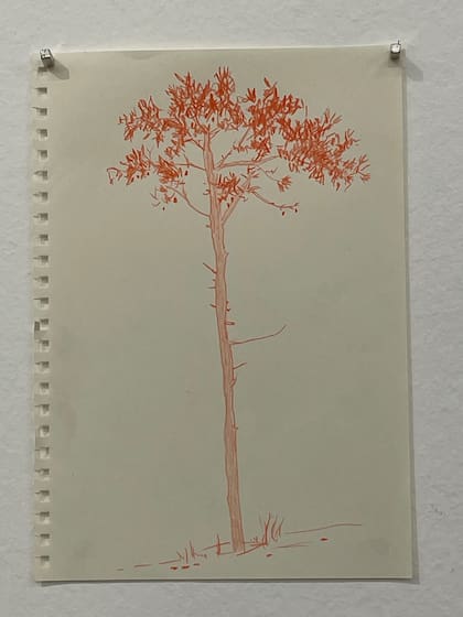 Uno de los dibujos de Pablo Siquier que condujeron al artista a una nueva etapa